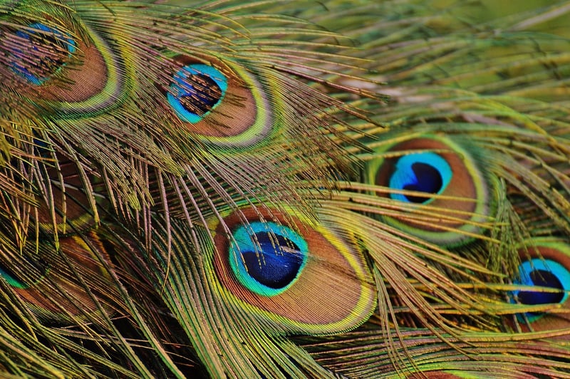 Colorful Patterns