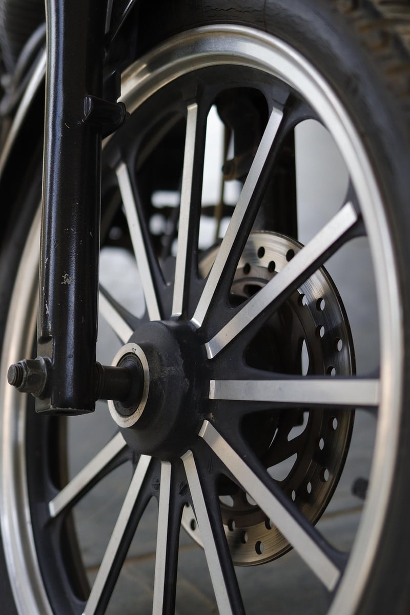 Bicycle Wheel Trellis
