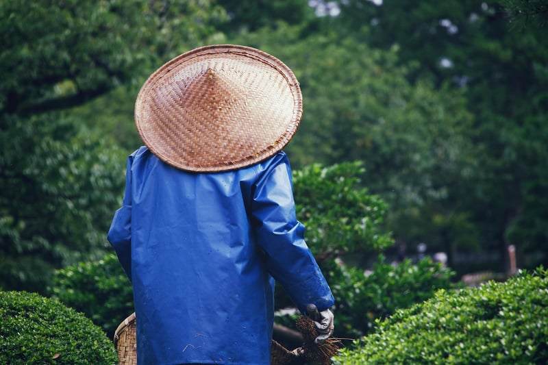 Pruning Garden
